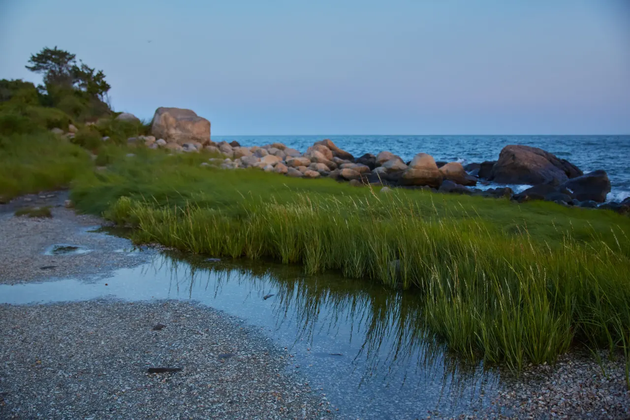 Scenic landscape, light and mood