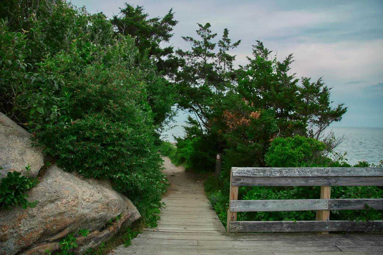 Scenic nature shot