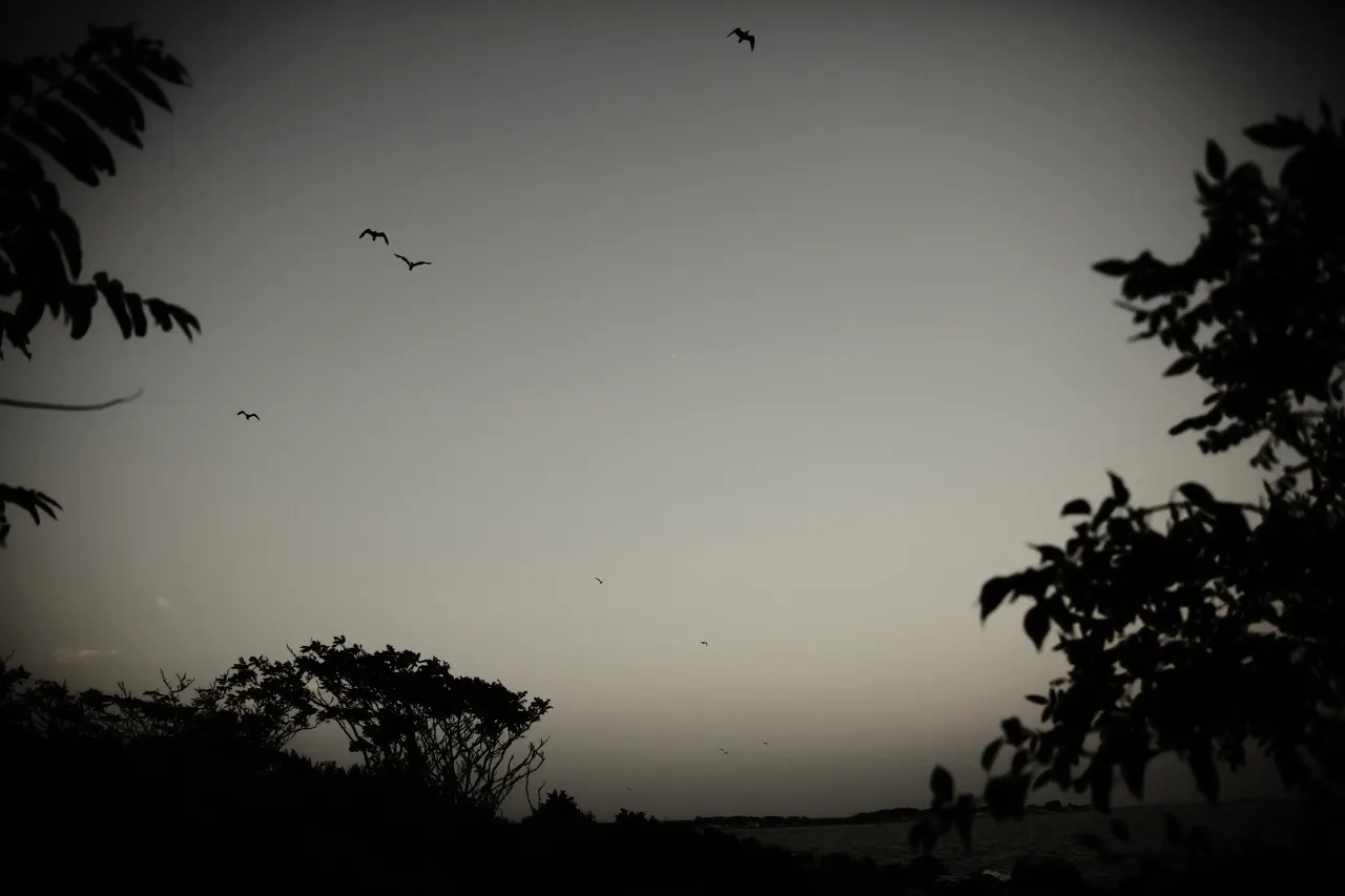 Mood-driven landscape