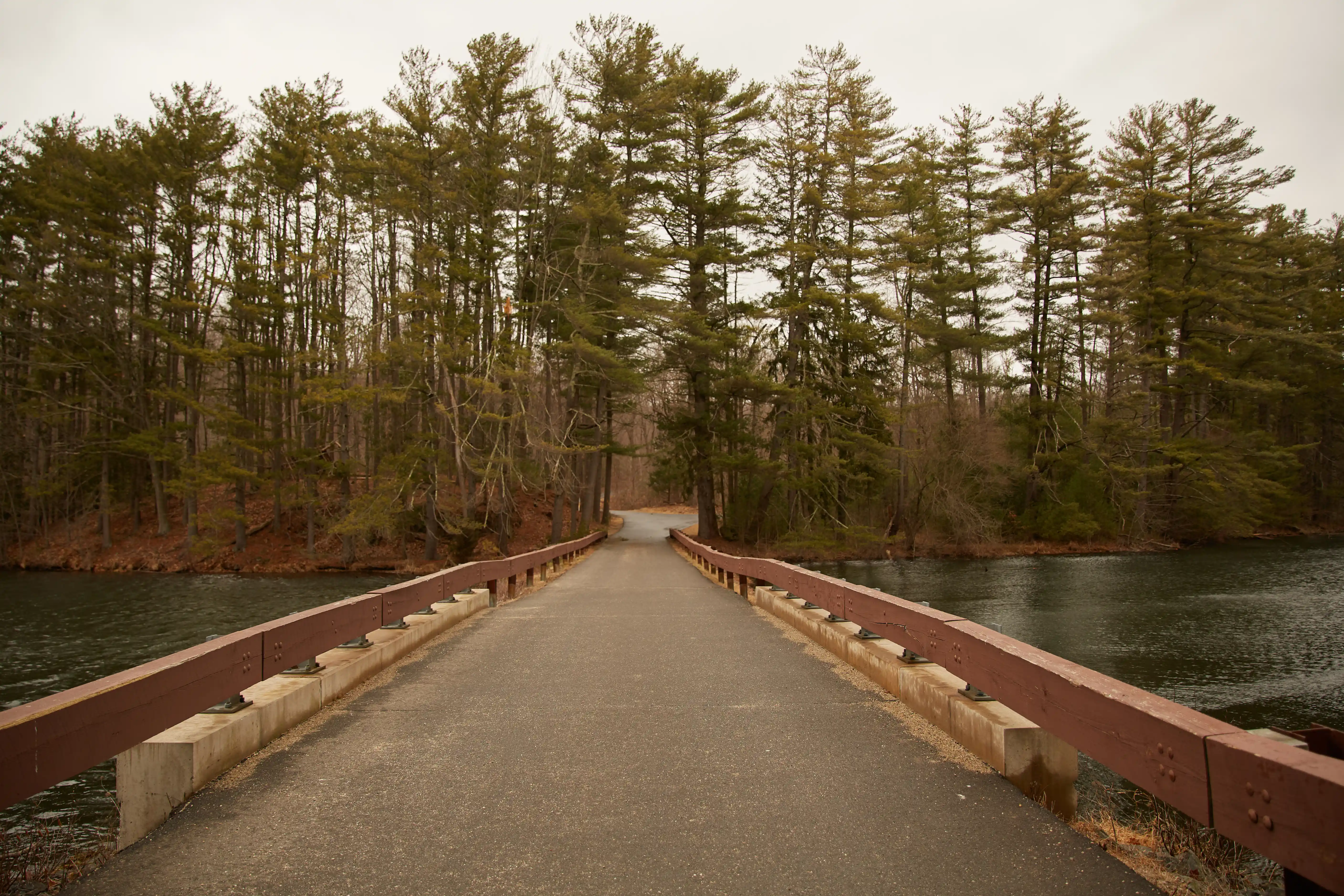 Environmental landscape, scale and atmosphere