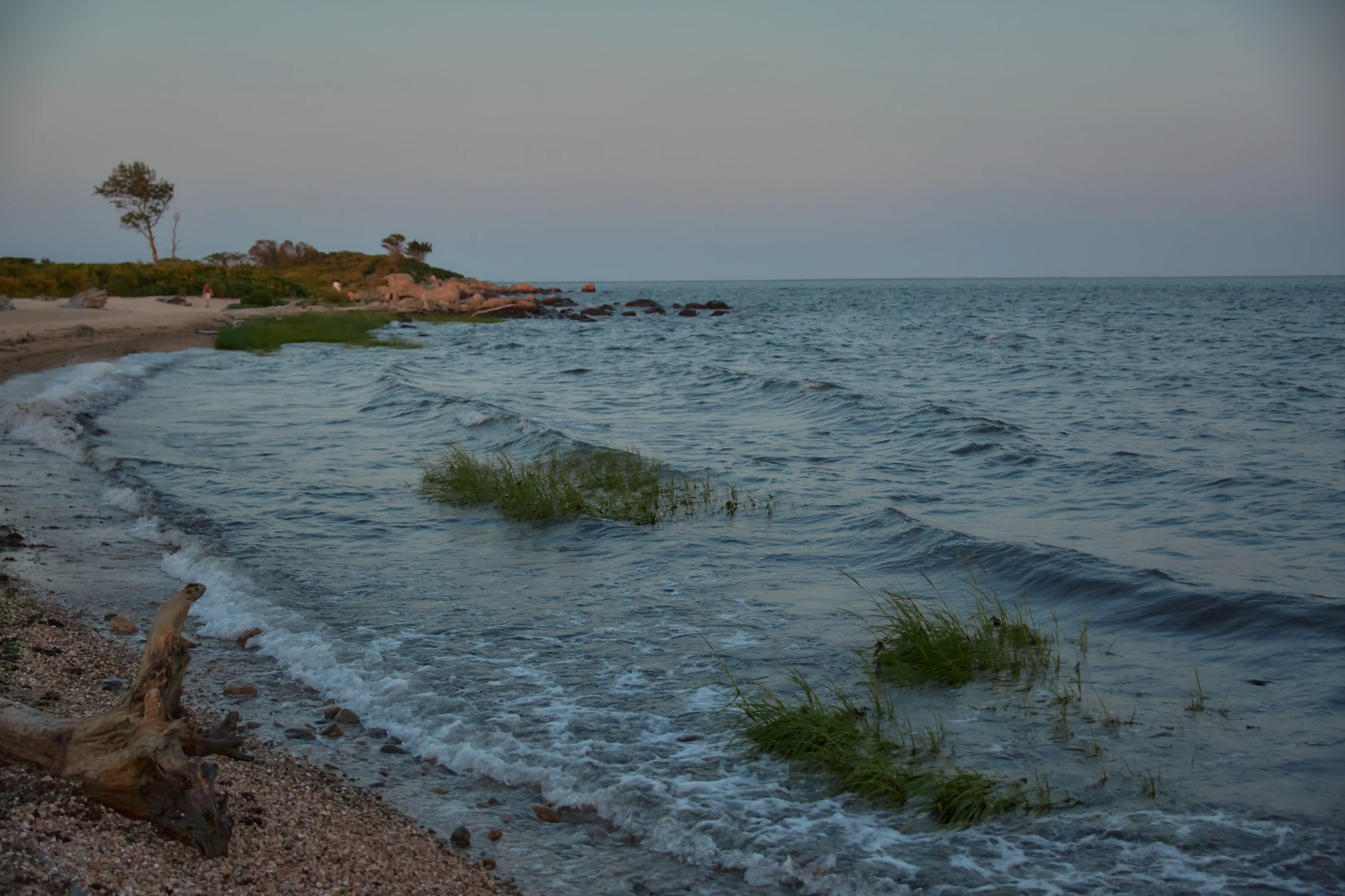 Nature scene, immersive detail