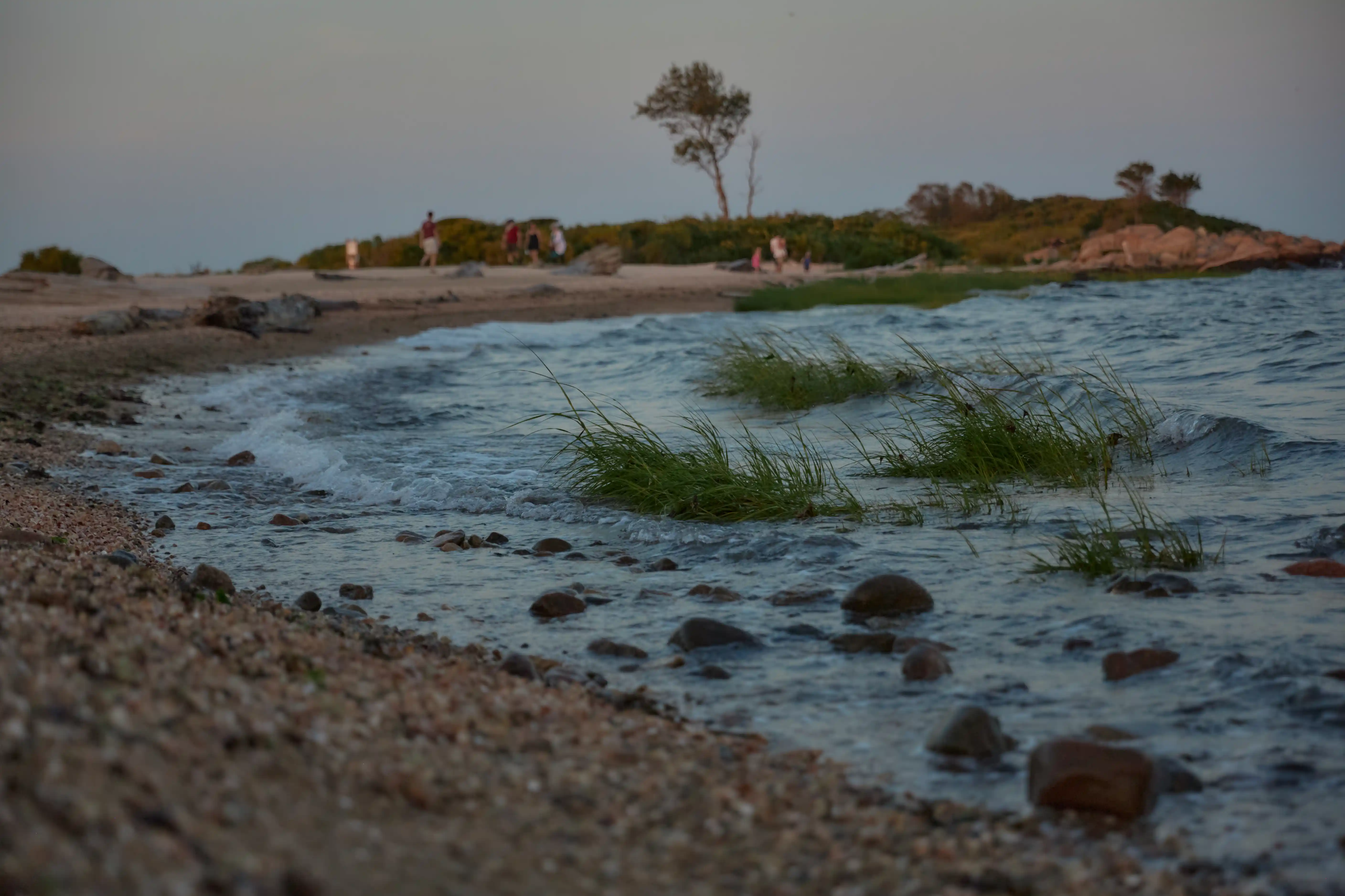 Landscape with texture and scale
