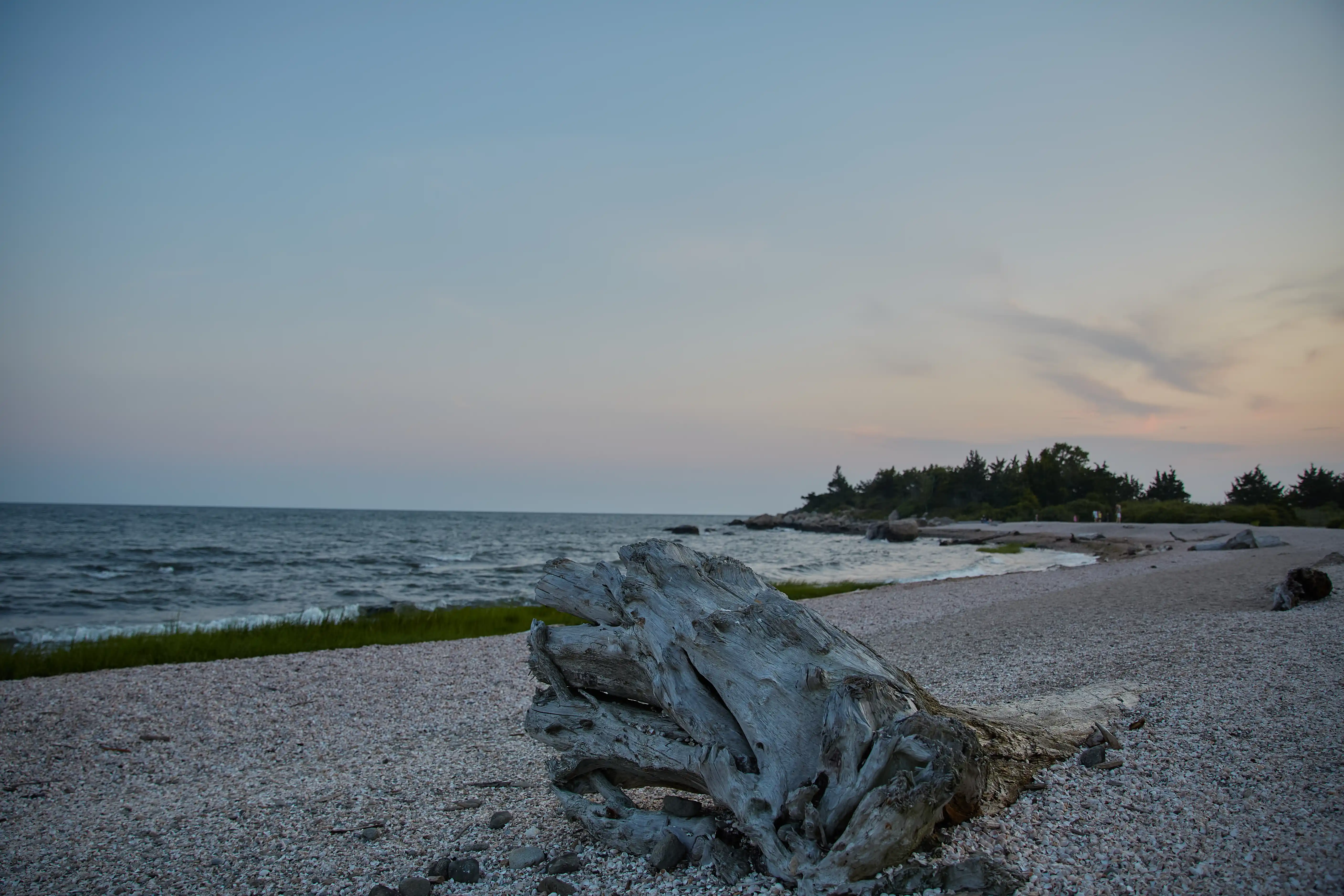 Nature with atmospheric light